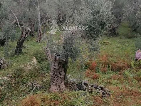Prodaja, plac, 2250m², Ulcinj, Crna Gora - image 7