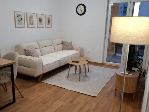 Izdavanje, jednosoban stan, 47m², Pobrežje, Podgorica - image 11