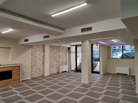 Izdavanje, poslovni prostor, 211m², Vračar Centar, Vračar Sve Podlokacije - image 3