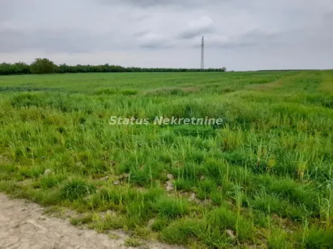 Pogled na prostrano zeleno polje i travnjak. - image 8