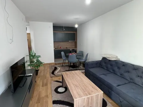 Rent, one bedroom apartment, 46m², New City, Podgorica - image 2