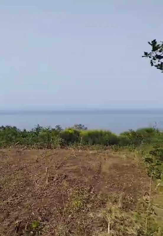 Prodaja, plac, 708m², Dobra Voda, Budva