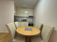 Izdavanje, jednosoban stan, 50m², Central Point, Podgorica - image 3