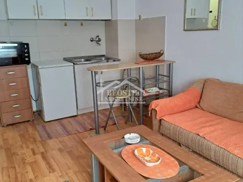Izdavanje, stan, 20m², Karaburma, Palilula Sve Podlokacije - image 5