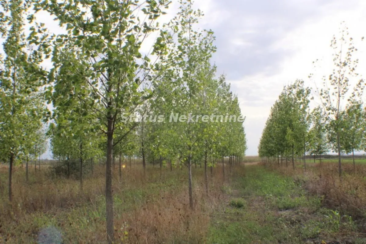 Prodaja, plac, 1378m², Zrenjanin, Srbija