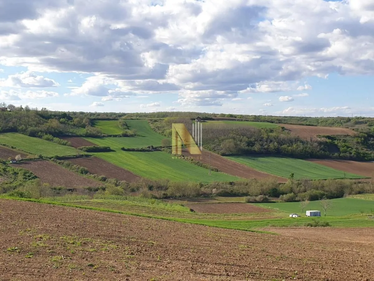 Prodaja, plac, 2500m², Novi Sad, Srbija