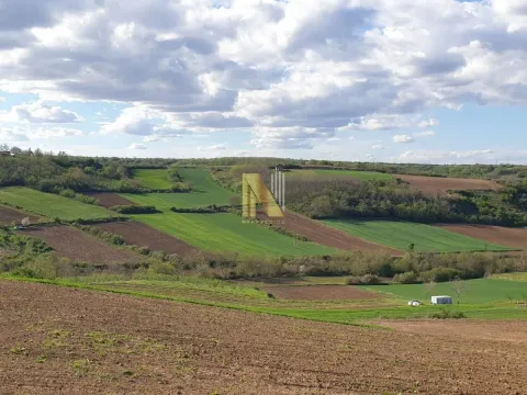 Prodaja, plac, 2500m², Novi Sad, Srbija - image 11