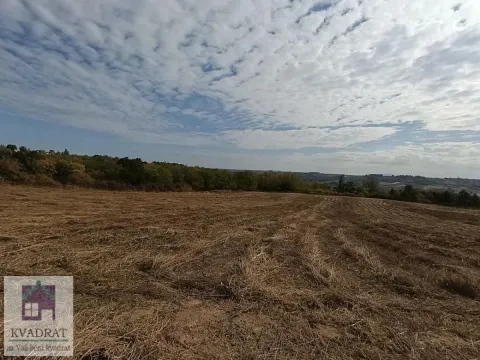 Pogled na prostrano poljoprivredno zemljište pod vedrim nebom. - image 3