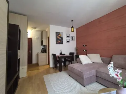Rent, one bedroom apartment, 24m², Banovo Brdo, Beograd - image 4