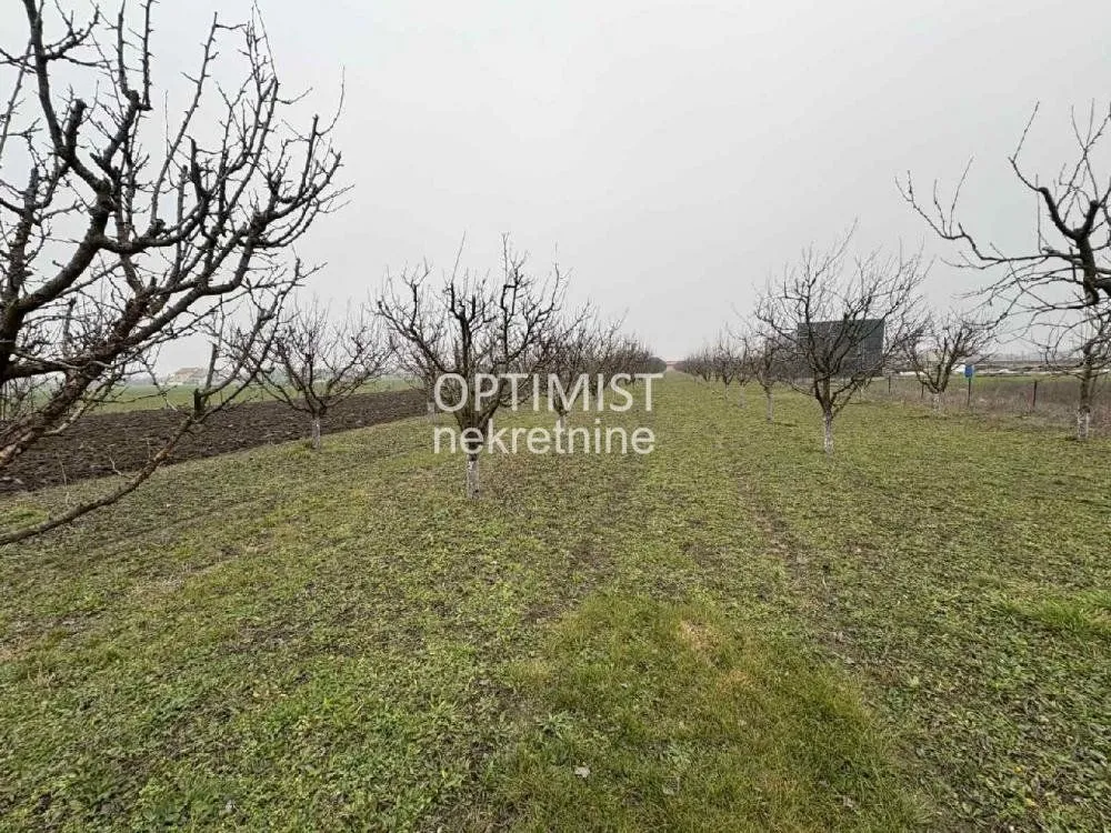 Prodaja, plac, 11000m², Zemun Ugrinovci, Zemun Sve Podlokacije