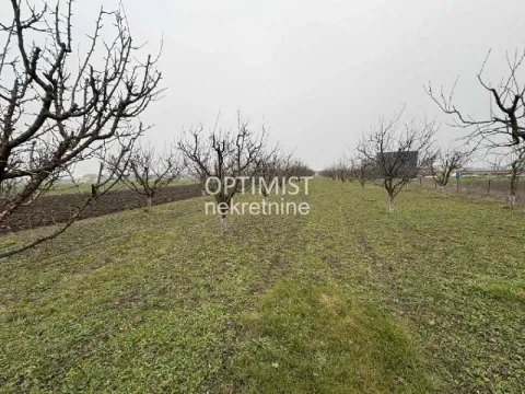 Sale, land lot, 11000m², Zemun Ugrinovci, Zemun Sve Podlokacije - image 4