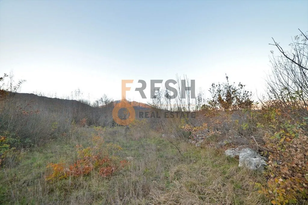 Prodaja, plac, 18000m², Danilovgrad, Crna Gora