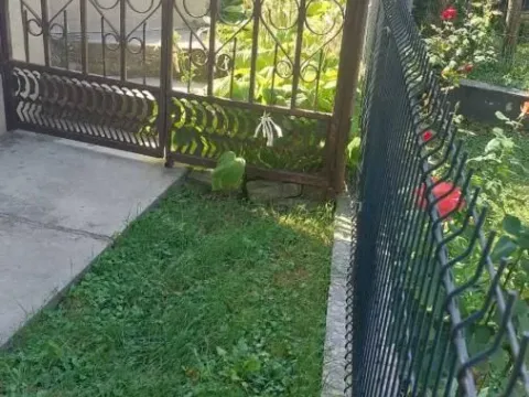 Prodaja, kuća, 1000m², Selters Banja, Mladenovac - image 9