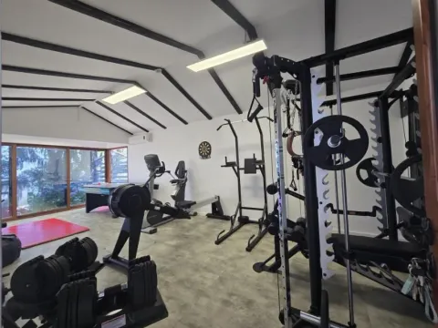 Sale, house, 388m², Sremska Kamenica, Petrovaradin - image 12