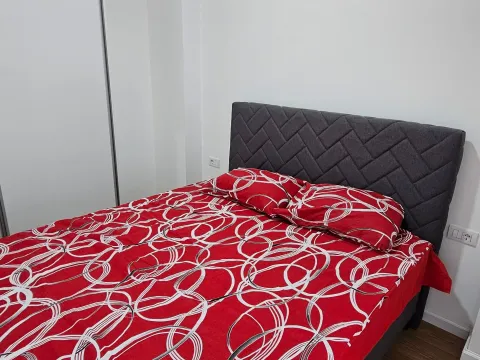 Rent, one bedroom apartment, 35m², Ljubović, Podgorica - image 7