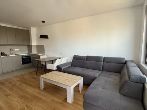 Rent, one bedroom apartment, 40m², Zemun Centar, Zemun Sve Podlokacije - image 3