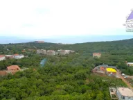 Prodaja, plac, 1343m², Krimovica, Kotor - image 6