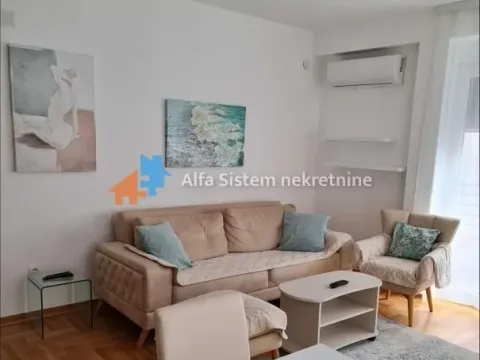 Izdavanje, dvosoban stan, 45m², Zvezdara Sve Podlokacije, Beograd - image 2