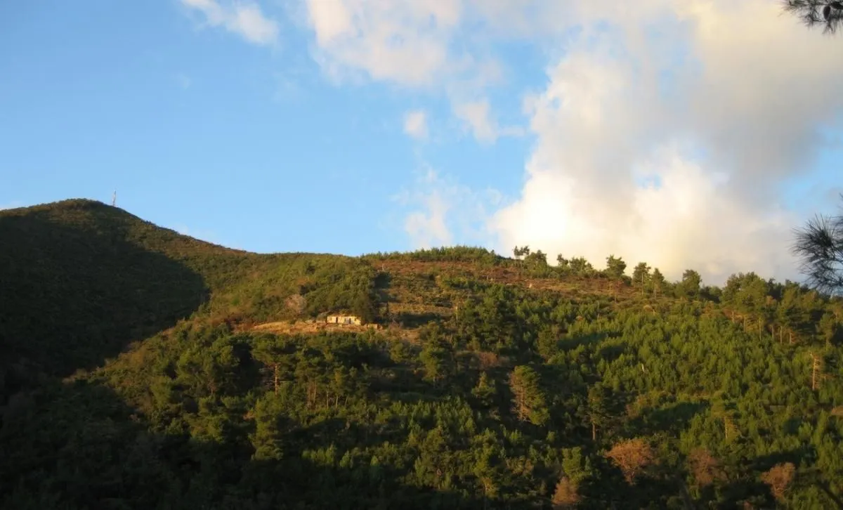 Prodaja, plac, 11246m², Budva, Crna Gora