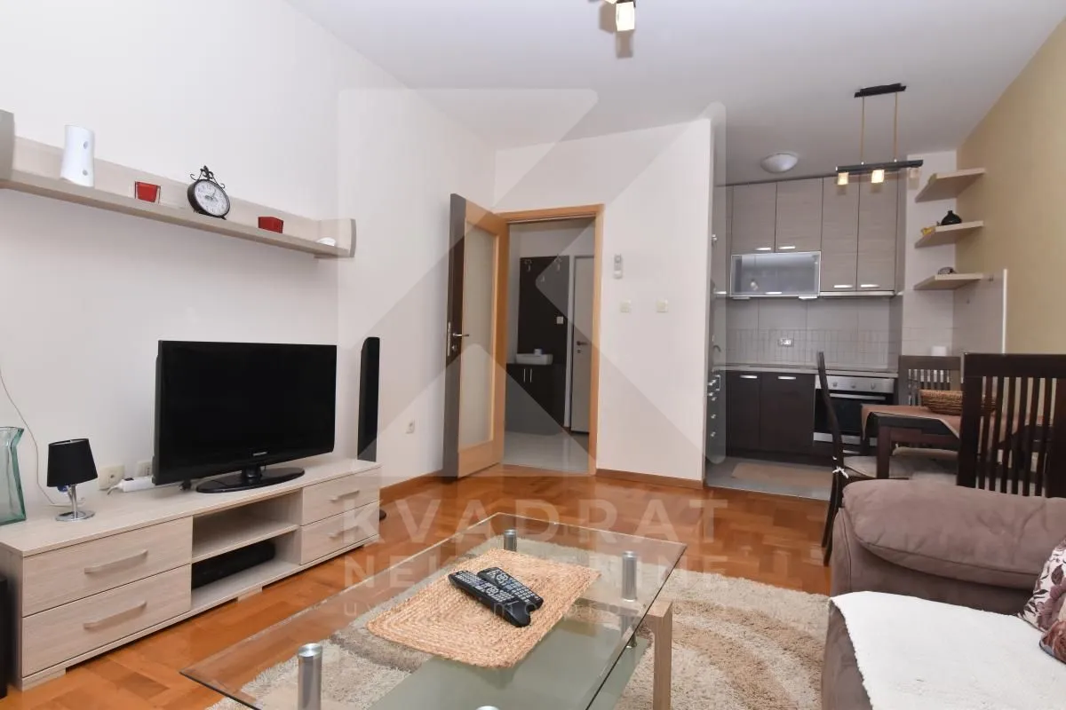 Rent, one bedroom apartment, 45m², Tuški Put, Podgorica