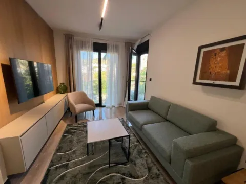 Izdavanje, jednosoban stan, 43m², Zagorič, Podgorica - image 7