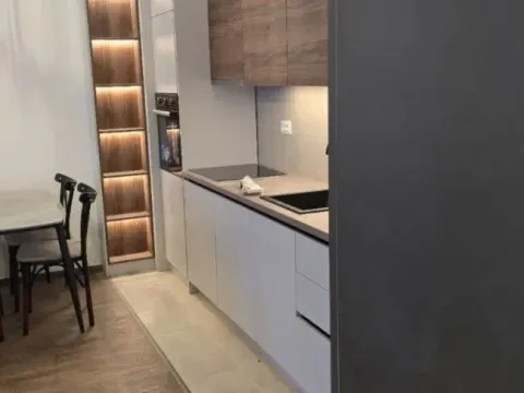 Izdavanje, jednosoban stan, 49m², Zabjelo, Podgorica - image 2