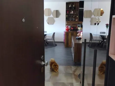 Prodaja, jednosoban stan, 73m², Centar, Bar - image 7