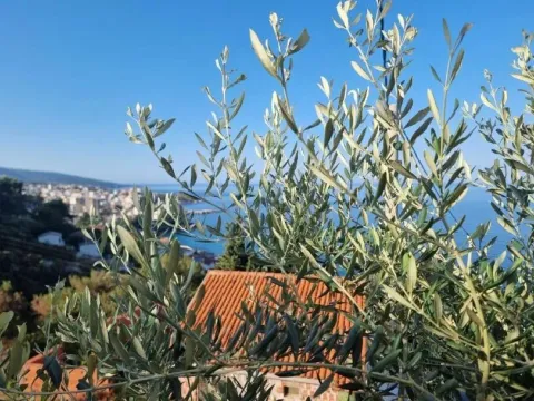 Sale, house, 220m², Dobre Vode, Bar - image 8