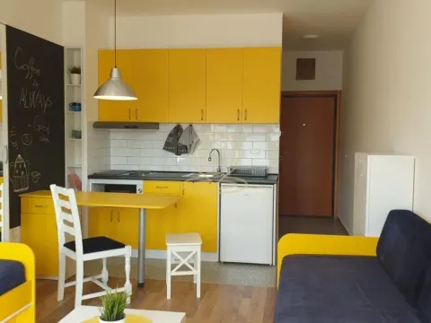 Izdavanje, jednosoban stan, 25m², Grbavica, Novi Sad Sve Podlokacije - image 2