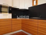 Izdavanje, kuća, 400m², Savski Venac, Beograd - image 12