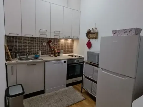 Rent, one bedroom apartment, 41m², Vezirov Most, Podgorica - image 3