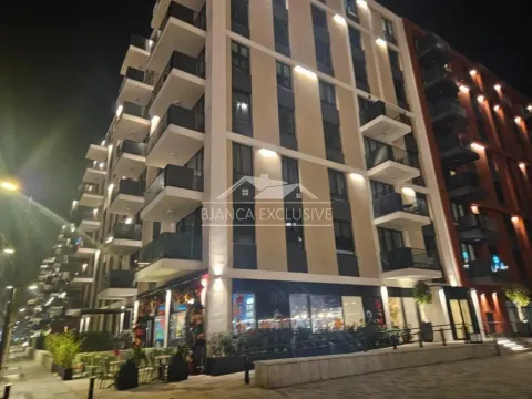 Stan in Savski Venac