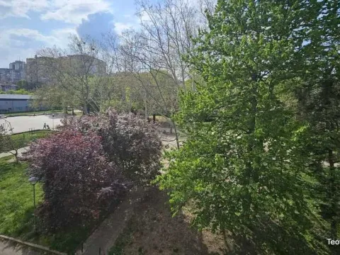 Izdavanje, dvosoban stan, 48m², Zemun Save Kovačevića, Zemun Sve Podlokacije - image 7