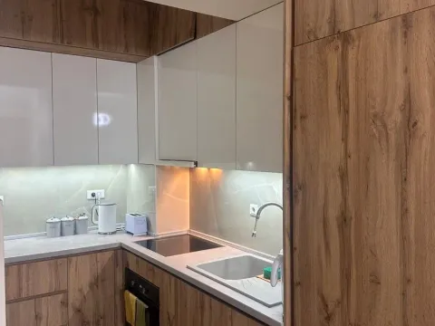 Izdavanje, jednosoban stan, 42m², Centar, Podgorica - image 7