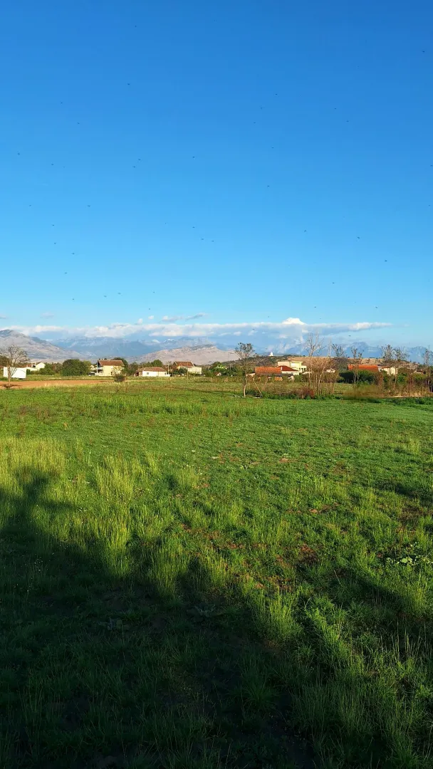 Prodaja, plac, 9569m², Botun, Podgorica