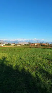 Prodaja, plac, 9569m², Botun, Podgorica - image 2