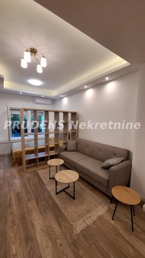 Living room with a sofa, coffee tables, and a partition shelving unit.