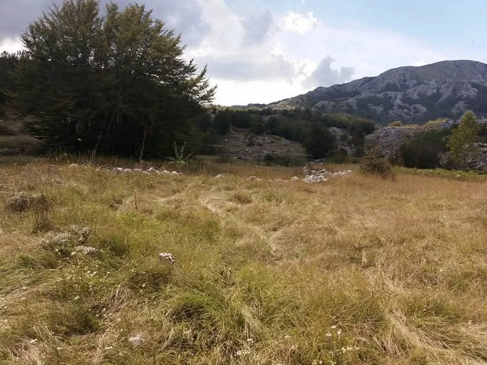 Sale, land lot, 20000m², Cetinje, Crna Gora