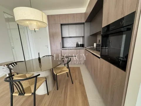 Izdavanje, dvosoban stan, 59m², Savski Venac, Beograd - image 12