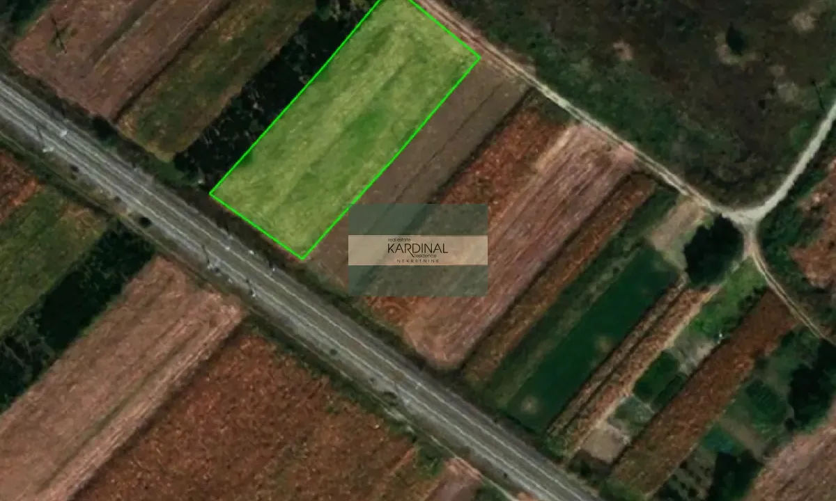 Sale, land lot, 2733m², Mijatovac, Ćuprija