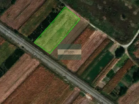 Prodaja, plac, 2733m², Mijatovac, Ćuprija - image 1