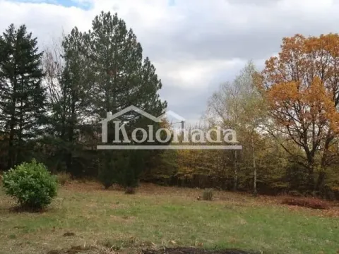 Sale, house, 250m², Babe, Sopot - image 18