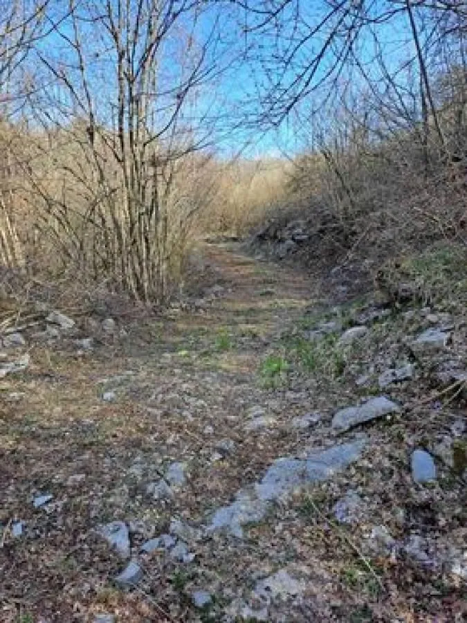 Prodaja, plac, 93700m², Risan, Kotor