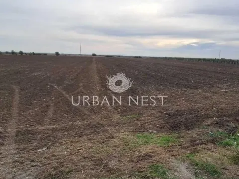 Prodaja, plac, 22750m², Zemun Ugrinovci, Zemun Sve Podlokacije - image 3