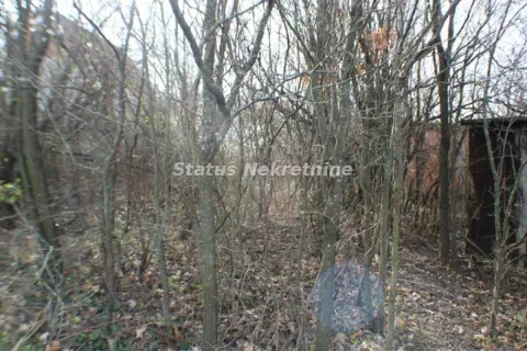 Gusto rastinje i drveće na placu sa zemljom. - image 2