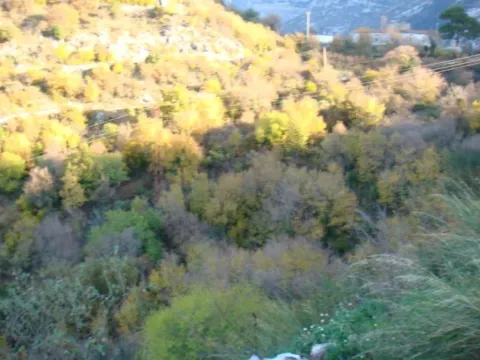 Prodaja, plac, 2000m², Kavač, Kotor - image 6