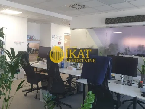 Izdavanje, poslovni prostor, 289m², Tašmajdan, Palilula Sve Podlokacije - image 6