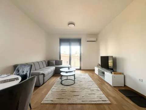 Rent, one bedroom apartment, 48m², Zabjelo, Podgorica - image 3