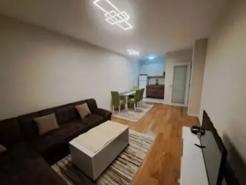 Izdavanje, jednosoban stan, 49m², Central Point, Podgorica - image 4