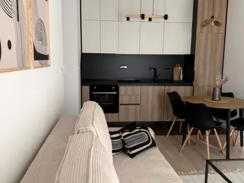 Izdavanje, jednosoban stan, 37m², Tološi, Podgorica - image 2